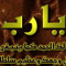 شريف فرج