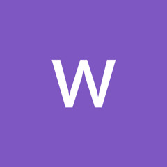 wesam amer