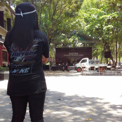 sagi