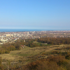 SeyyedJavad Kahizadeh