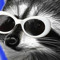 CallmeAlphaRaccoon