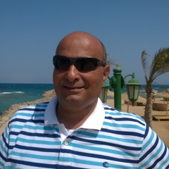 Alaa hassan