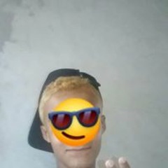 pitbull sem coleira
