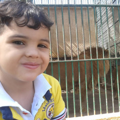 Ahmed Kamal