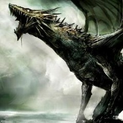 LadyDragonSk ;l