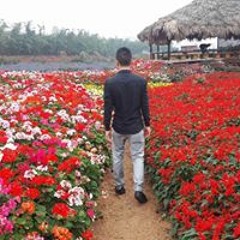Ducloi Nguyên