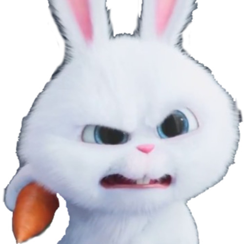 White RabbiT’s avatar