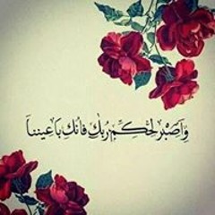 زيزو زيزو