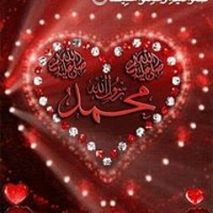 Esraa Elgamel