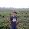 ragil