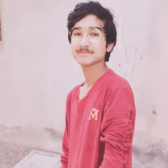Mr Saadi