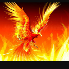 Dark Fire