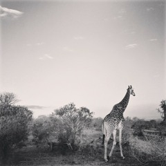 krista deane sands1975