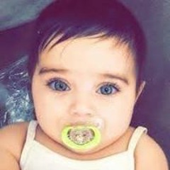 alaa mohamed elfadaly