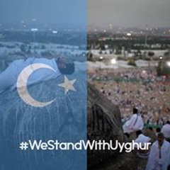 ذاكرة القلم