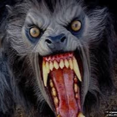 حسام الغرباوي