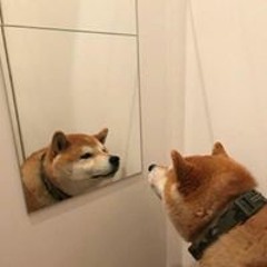 Tuyết Yêu Thương Young Uno  ReCover By Ngô Lan Hương Ft Dương Trần Nghĩa