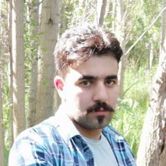 Javad Nazari