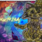 User 40703302