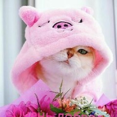 Никита Сибирский
