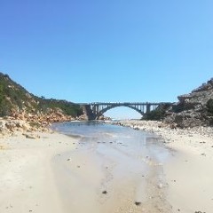 Stefanus Francois Nepgen