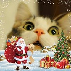 Владимир Околот