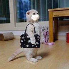Người ta nói vì yêu mà khổ