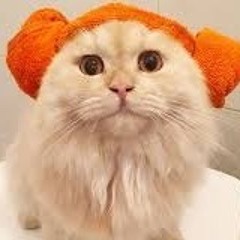 Xù xute
