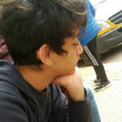 hssm hg