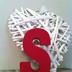 النسرمحمدمحمود زنون