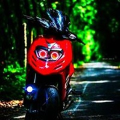 vinot