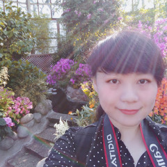 zan wei