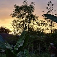 Gian Carlos Matarrita