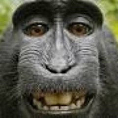 Manou Jans