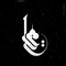 Ali Al-Shawki