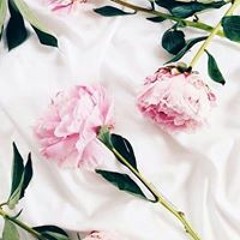 الحجة ام العبد دياب