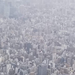 音瀬恋