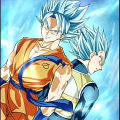 NDS DBZ