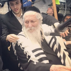 נתן בונן