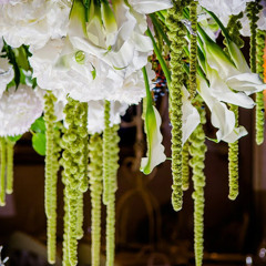 Signorelli Flowers Coffee