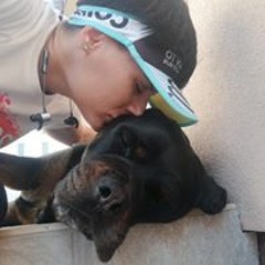 Beus