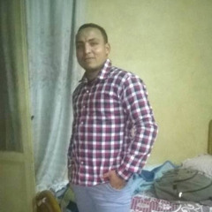 Mostafa Fayyad