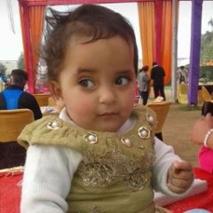 Amrit Pal
