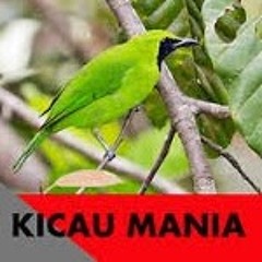 Kadek Ista Surya I8IO2O39