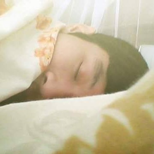 Tìm Em Câu Ví Sông Lam - Nguyễn Thành Viên -- Tác Giả Ngô Sỹ Ngọc