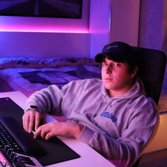 selank
