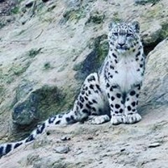 Asharaful Islam Arif