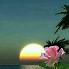 abeer swada