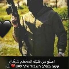 Ali Shakarnah
