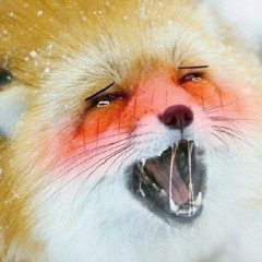 (⌐■_■)